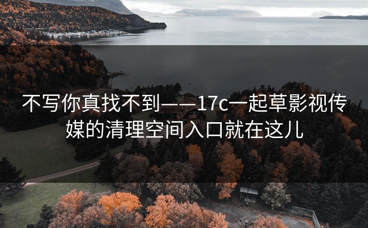 不写你真找不到——17c一起草影视传媒的清理空间入口就在这儿
