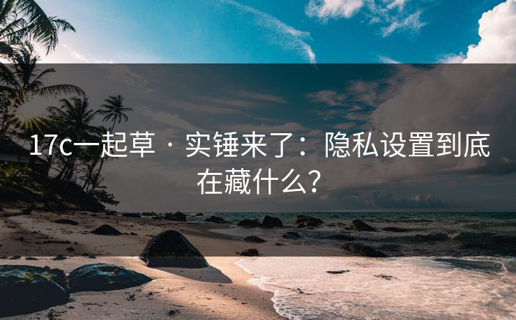 17c一起草 · 实锤来了：隐私设置到底在藏什么？