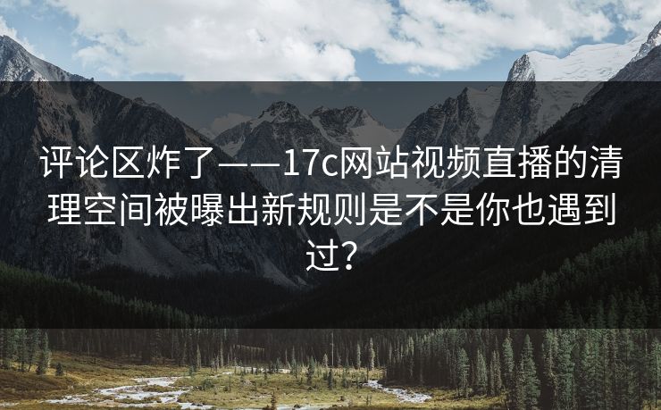 评论区炸了——17c网站视频直播的清理空间被曝出新规则是不是你也遇到过？