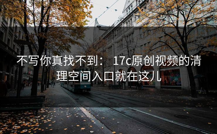 不写你真找不到： 17c原创视频的清理空间入口就在这儿
