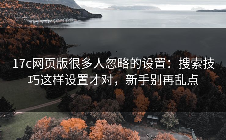 17c网页版很多人忽略的设置:搜索技巧这样设置才对,新手别再乱点 17c网页版很多人忽略的设置:搜索技巧这样设置才对,新手别再乱点